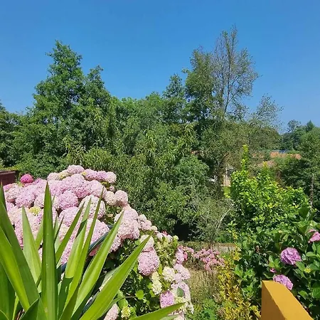 Сasa de vacaciones Casa Vacacional La Portillina